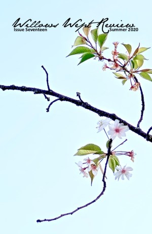 Issue Seventeen: Summer 2020 Issue Seventeen: Summer 2020