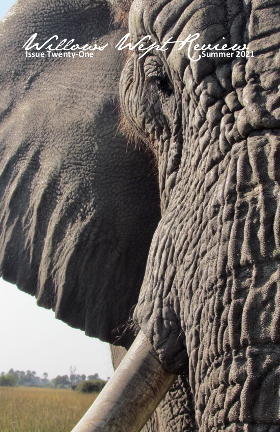 Issue Twenty-One: Summer 2021