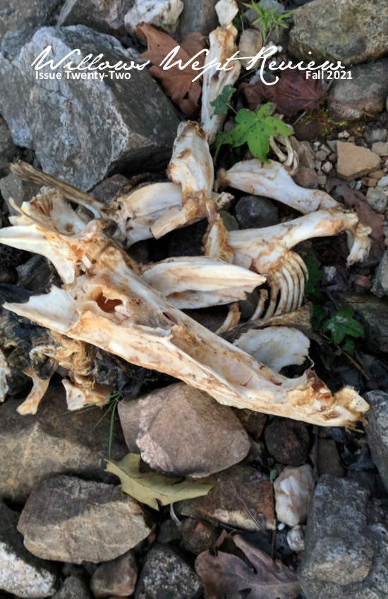 Issue Twenty-Two: Fall 2021